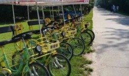 黄河公园爆料最新消息,揭秘公园神秘事件背后的真相