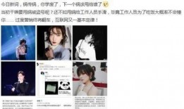 风瑾最新爆料,揭秘娱乐圈幕后真相