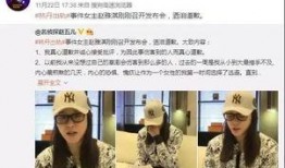 郑燕姿最新爆料新闻,揭秘她不为人知的幕后故事